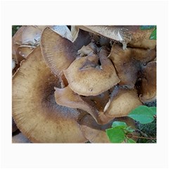 Close Up Mushroom Abstract Small Glasses Cloth (2 Sides) by Fractalsandkaleidoscopes