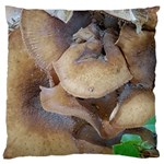 Close Up Mushroom Abstract Large Cushion Case (One Side) Front