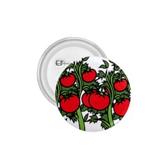 Tomato Garden Vine Plants Red 1 75  Buttons by HermanTelo