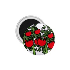 Tomato Garden Vine Plants Red 1 75  Magnets by HermanTelo