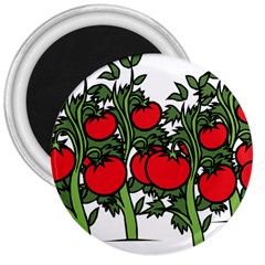 Tomato Garden Vine Plants Red 3  Magnets by HermanTelo