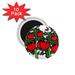 Tomato Garden Vine Plants Red 1 75  Magnets (10 Pack)  by HermanTelo