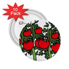 Tomato Garden Vine Plants Red 2 25  Buttons (10 Pack)  by HermanTelo