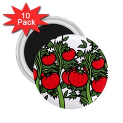 Tomato Garden Vine Plants Red 2 25  Magnets (10 Pack)  by HermanTelo