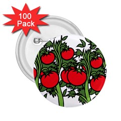 Tomato Garden Vine Plants Red 2 25  Buttons (100 Pack)  by HermanTelo