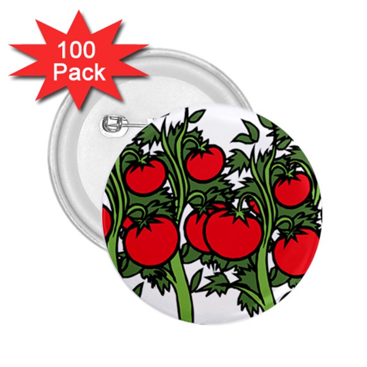 Tomato Garden Vine Plants Red 2.25  Buttons (100 pack) 