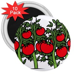 Tomato Garden Vine Plants Red 3  Magnets (10 Pack)  by HermanTelo