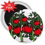 Tomato Garden Vine Plants Red 3  Magnets (10 pack)  Front