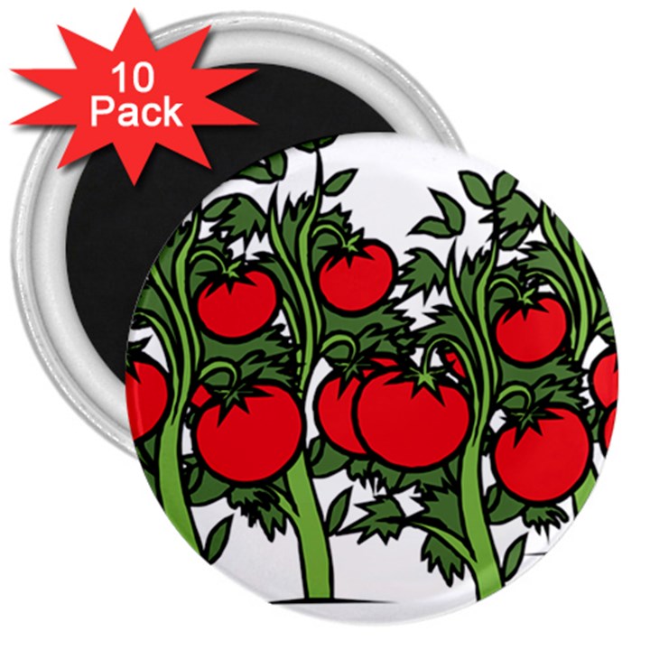 Tomato Garden Vine Plants Red 3  Magnets (10 pack) 