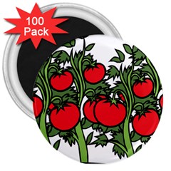 Tomato Garden Vine Plants Red 3  Magnets (100 Pack) by HermanTelo