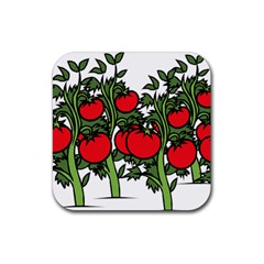 Tomato Garden Vine Plants Red Rubber Coaster (square)  by HermanTelo