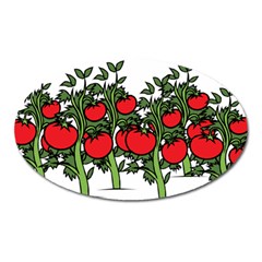 Tomato Garden Vine Plants Red Oval Magnet by HermanTelo