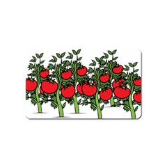 Tomato Garden Vine Plants Red Magnet (name Card) by HermanTelo