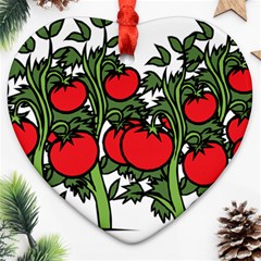 Tomato Garden Vine Plants Red Heart Ornament (two Sides) by HermanTelo