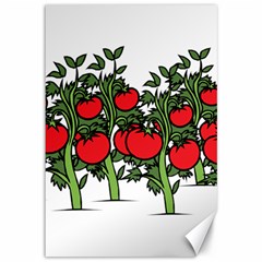 Tomato Garden Vine Plants Red Canvas 12  X 18 