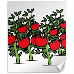 Tomato Garden Vine Plants Red Canvas 16  X 20 