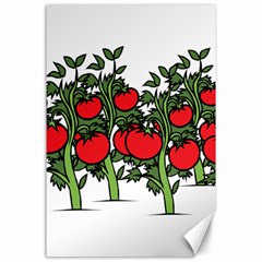 Tomato Garden Vine Plants Red Canvas 24  X 36 