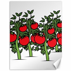 Tomato Garden Vine Plants Red Canvas 36  X 48  by HermanTelo