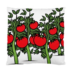 Tomato Garden Vine Plants Red Standard Cushion Case (one Side) by HermanTelo