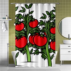 Tomato Garden Vine Plants Red Shower Curtain 48  X 72  (small) 