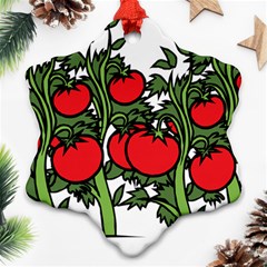 Tomato Garden Vine Plants Red Ornament (snowflake)