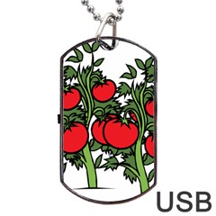 Tomato Garden Vine Plants Red Dog Tag Usb Flash (one Side)