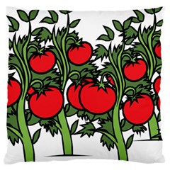 Tomato Garden Vine Plants Red Large Cushion Case (one Side) by HermanTelo