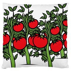 Tomato Garden Vine Plants Red Large Flano Cushion Case (two Sides) by HermanTelo