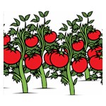 Tomato Garden Vine Plants Red Double Sided Flano Blanket (Small)  50 x40  Blanket Front