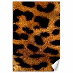 Leopard Skin Pattern Background Canvas 24  X 36  by Vaneshart