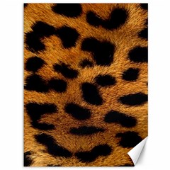 Leopard Skin Pattern Background Canvas 36  X 48  by Vaneshart