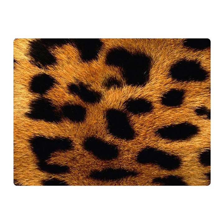 Leopard Skin Pattern Background Double Sided Flano Blanket (Mini) 