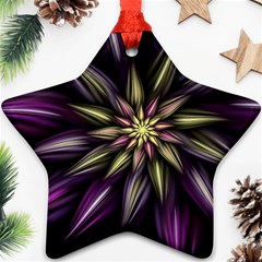 Fractal Flower Floral Abstract Star Ornament (two Sides)