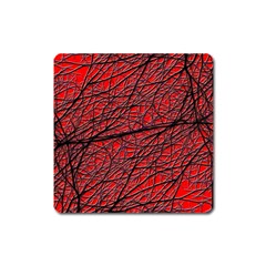 Neurons Cells Train Link Brain Square Magnet by HermanTelo