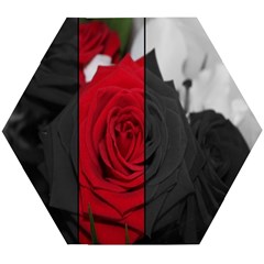 Roses Rouge Fleurs Wooden Puzzle Hexagon