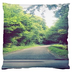 Photo Vue Sur Forêt  Large Cushion Case (two Sides) by kcreatif