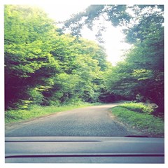 Photo Vue Sur Forêt  Wooden Puzzle Square