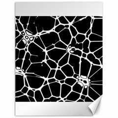 Neurons Braid Network Wattle Yarn Canvas 18  X 24  by HermanTelo