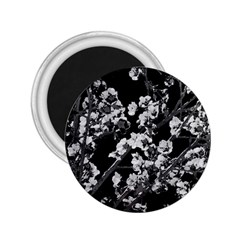 Fleurs De Cerisier Noir & Blanc 2 25  Magnets by kcreatif