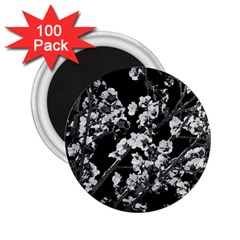 Fleurs De Cerisier Noir & Blanc 2 25  Magnets (100 Pack)  by kcreatif