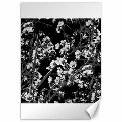 Fleurs De Cerisier Noir & Blanc Canvas 12  X 18  by kcreatif