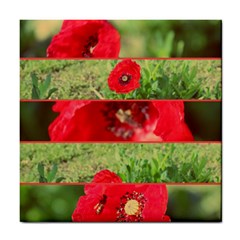 Photos Collage Coquelicots Tile Coaster by kcreatif