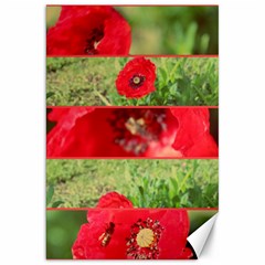 Photos Collage Coquelicots Canvas 20  X 30  by kcreatif