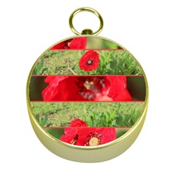 Photos Collage Coquelicots Gold Compasses by kcreatif