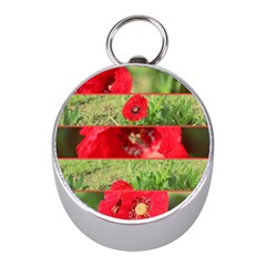 Photos Collage Coquelicots Mini Silver Compasses by kcreatif