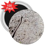 Beach Sand 3  Magnets (100 pack) Front