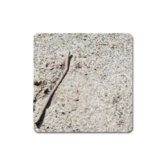 Beach Sand Square Magnet by Fractalsandkaleidoscopes