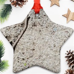 Beach Sand Star Ornament (two Sides) by Fractalsandkaleidoscopes