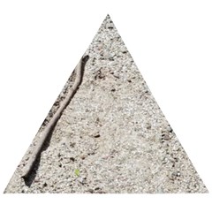 Beach Sand Wooden Puzzle Triangle