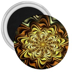 Fractal Flower Petals Gold 3  Magnets by HermanTelo